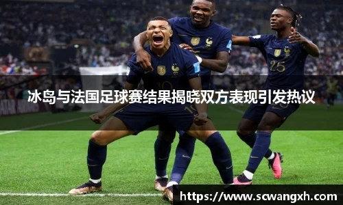 冰岛与法国足球赛结果揭晓双方表现引发热议